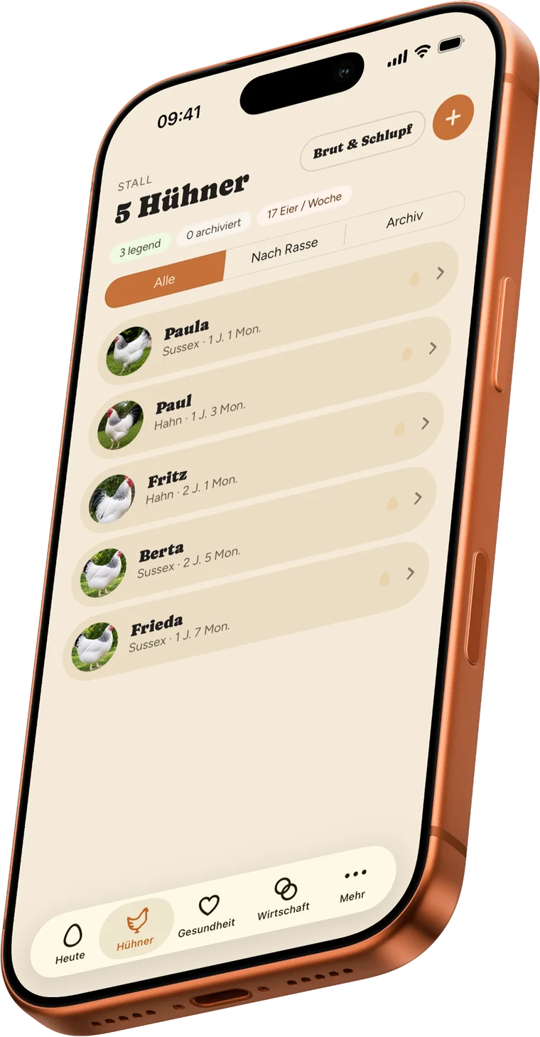 ChickenLove auf dem iPhone: Stall-Übersicht mit fünf Hühnern