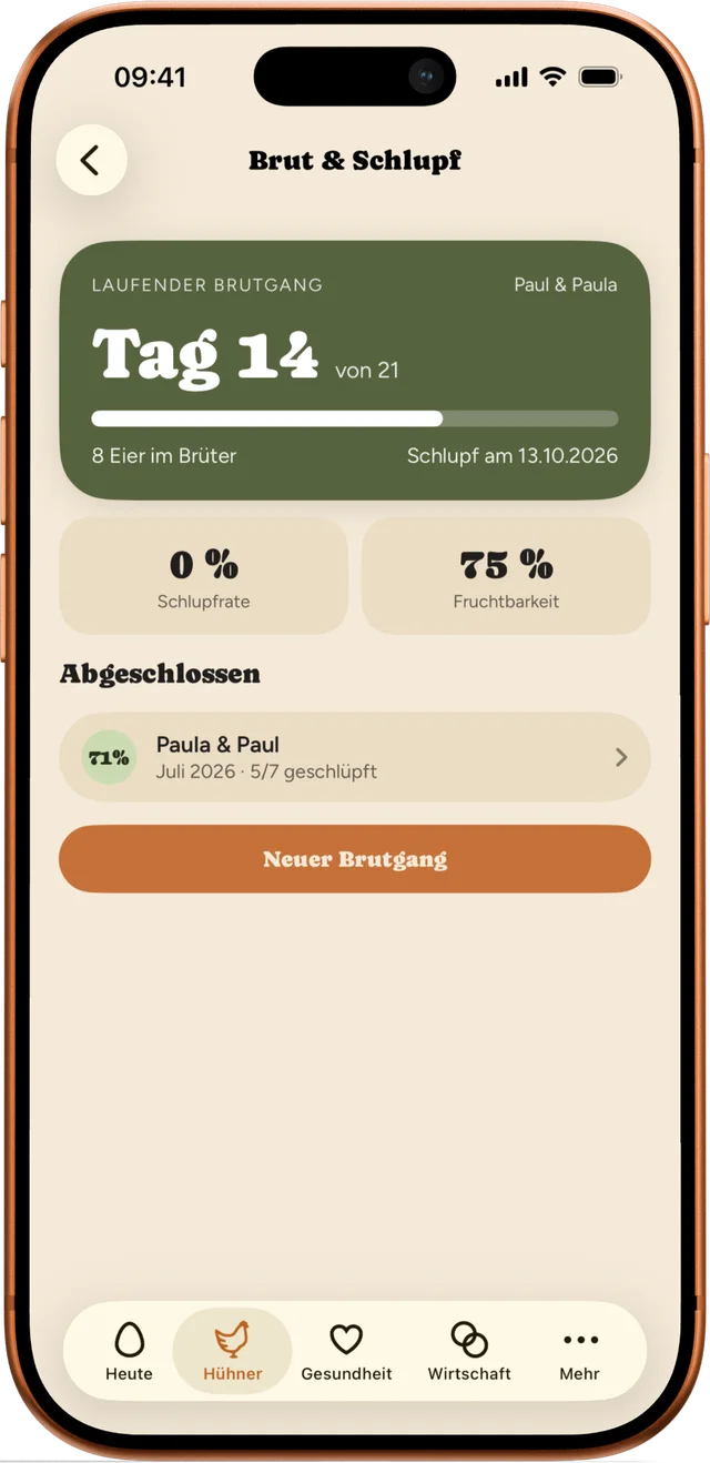 Brut und Schlupf: laufender Brutgang Tag 14 von 21