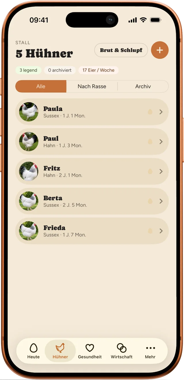 Hühner-Ansicht: Liste mit Paula, Paul, Fritz, Berta und Frieda